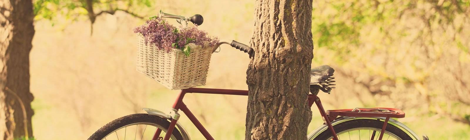 Adria Bike Hotels